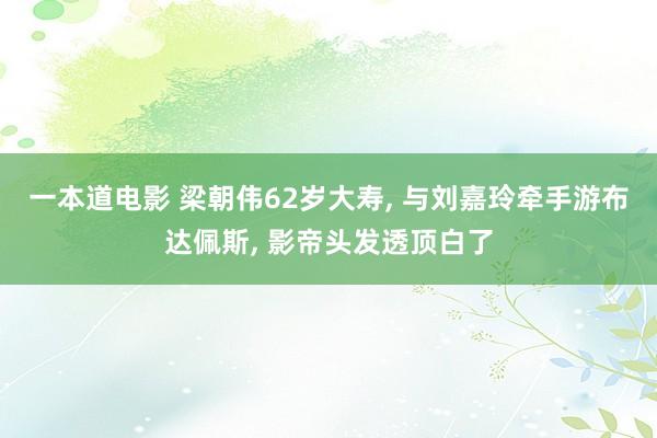 一本道电影 梁朝伟62岁大寿， 与刘嘉玲牵手游布达佩斯， 影帝头发透顶白了