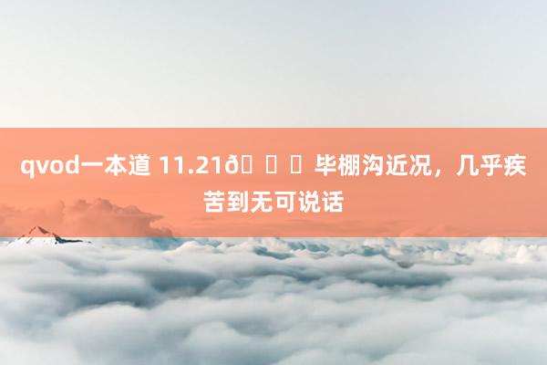 qvod一本道 11.21📍毕棚沟近况,几乎疾苦到无可说话